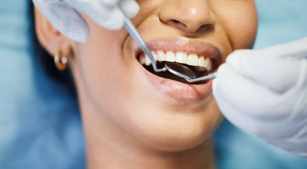 Best Holiday Emergency Dentist in Bradley, IL